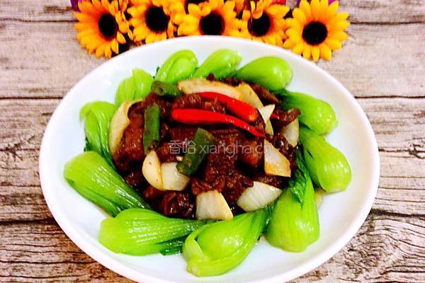 红烧牛肉的做法图解11