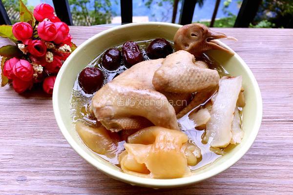 花胶玉竹炖乳鸽的做法图解7