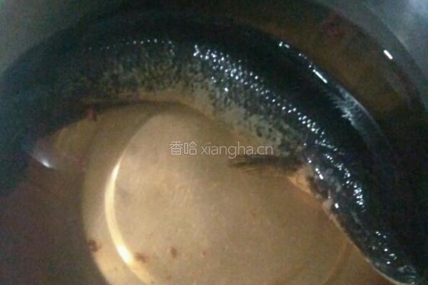 黑鱼炖茄子的做法图解1