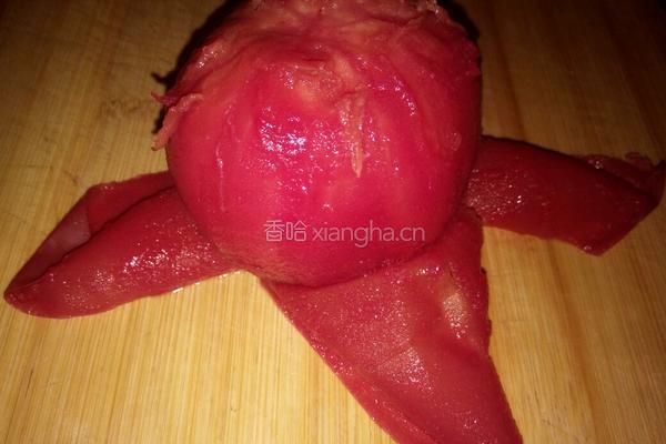 番茄面的做法图解5