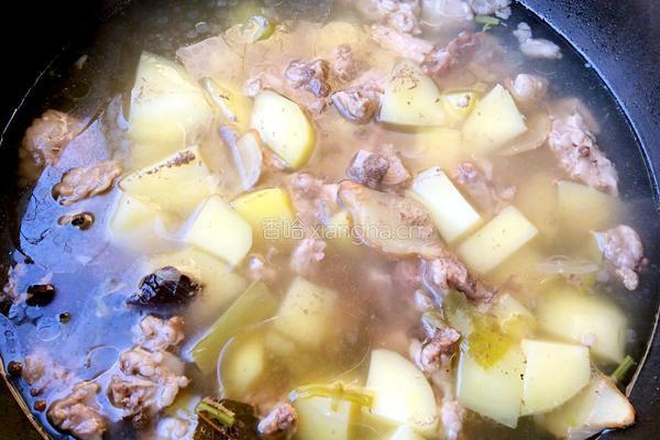 土豆顿牛肉的做法图解7