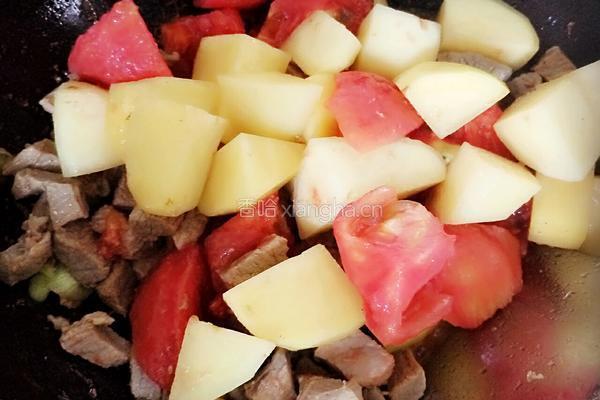 西红柿土豆炖牛肉的做法图解4