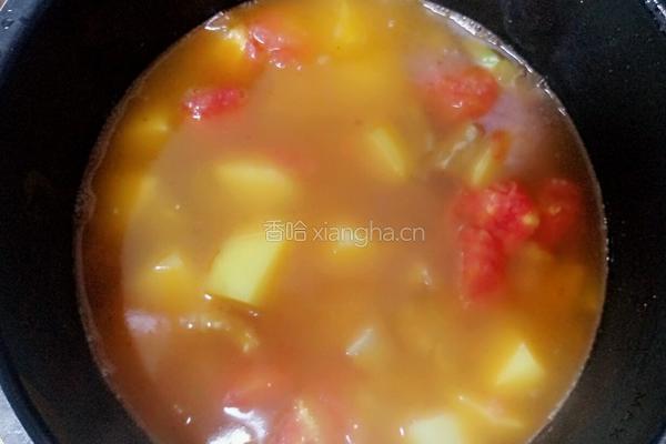 西红柿土豆炖牛肉的做法图解5