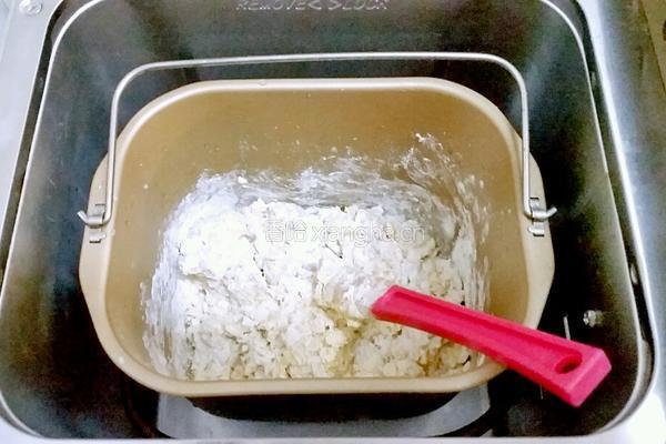 燕麦片苹果面包的做法图解6