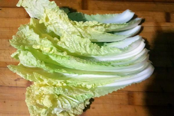 白菜木耳饺子的做法图解5