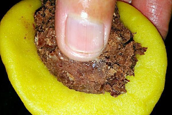 黄米面豆沙糕的做法图解9