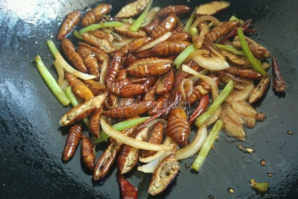 香酥蚕蛹的做法图解13