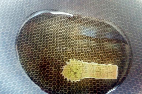 鱼头豆腐煲的做法图解5