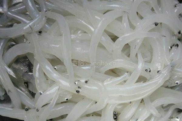 银鱼鸡蛋饼的做法图解1