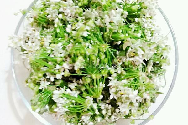韭菜花酱的做法图解1