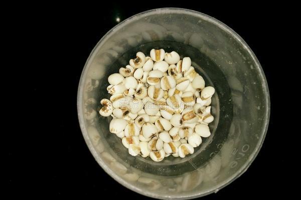红豆薏米豆浆的做法图解1