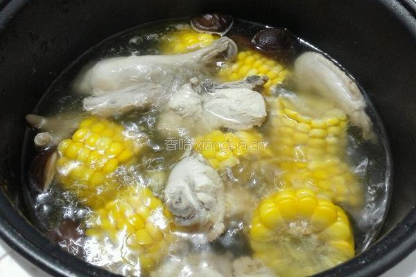 玉米炖鸡的做法图解4
