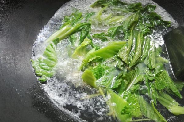 沙白芥菜汤的做法图解5