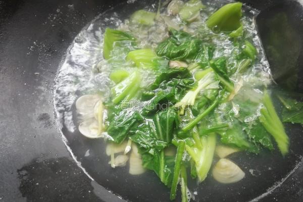 沙白芥菜汤的做法图解6