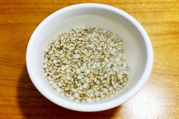 薏米排骨汤的做法图解2
