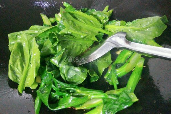 青菜烧牛肉的做法图解6