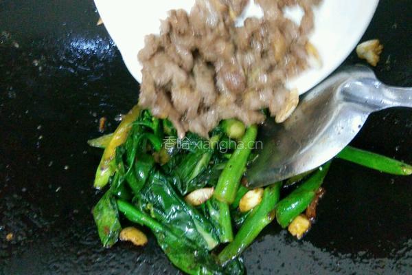 青菜烧牛肉的做法图解8
