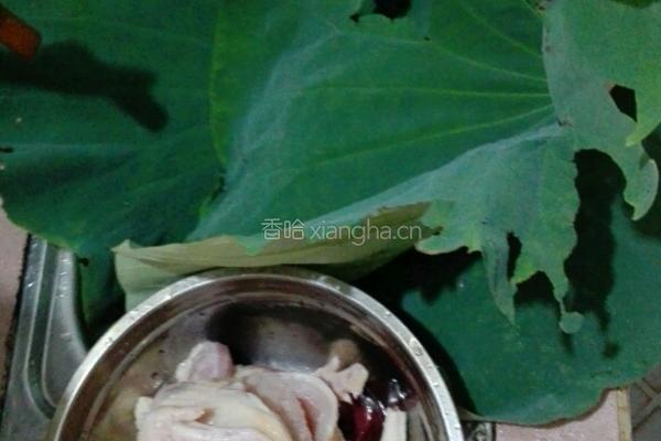 荷叶鸡的做法图解1