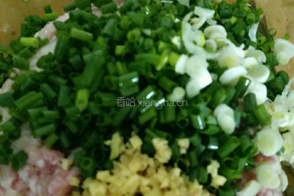 饺子的做法图解5