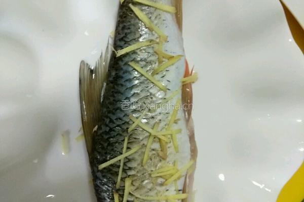 清蒸翘嘴鱼的做法图解3