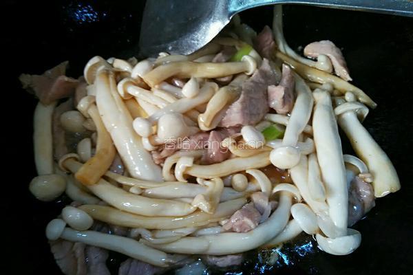 肉炒海鲜菇的做法图解5