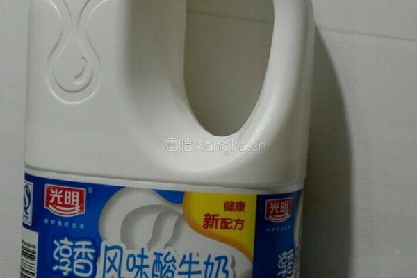 红豆酸奶的做法图解5