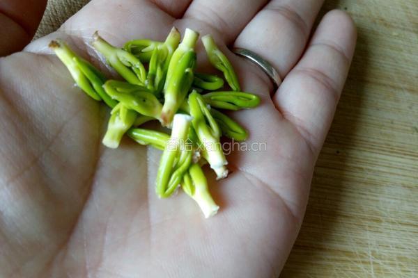 莲心茶的做法图解5