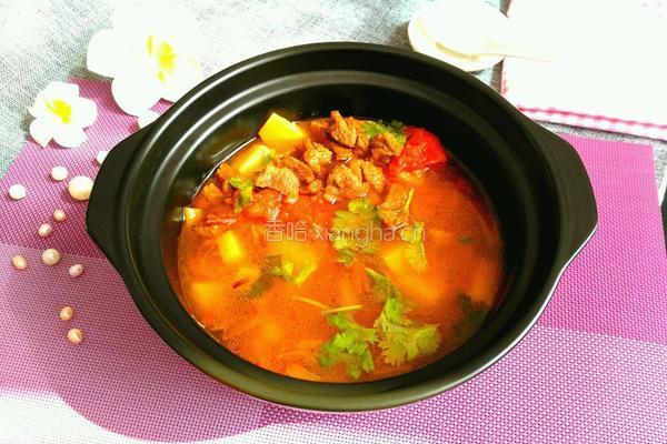 牛肉砂锅的做法图解13