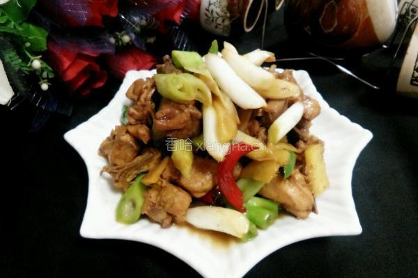 姜葱炒鸡的做法图解9