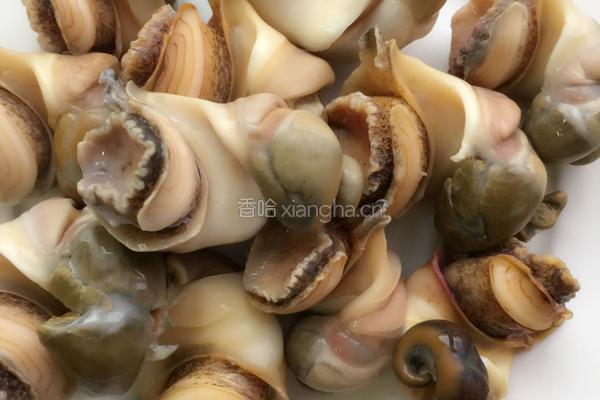凉拌海螺的做法图解2