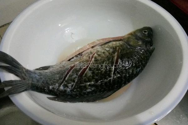 红烧红棕鱼的做法图解1