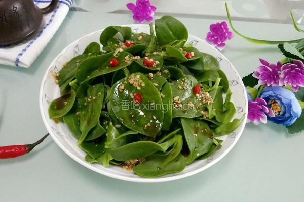凉拌田七的做法图解4