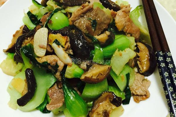 香菇肉片炒江青菜的做法图解5