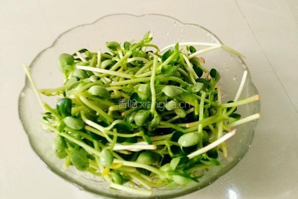 凉拌豌豆苗的做法图解1