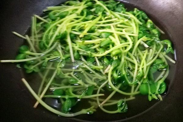 凉拌豌豆苗的做法图解3