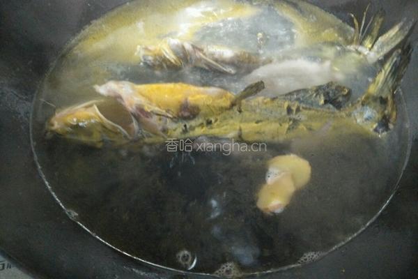 黄颡鱼炖豆腐的做法图解3