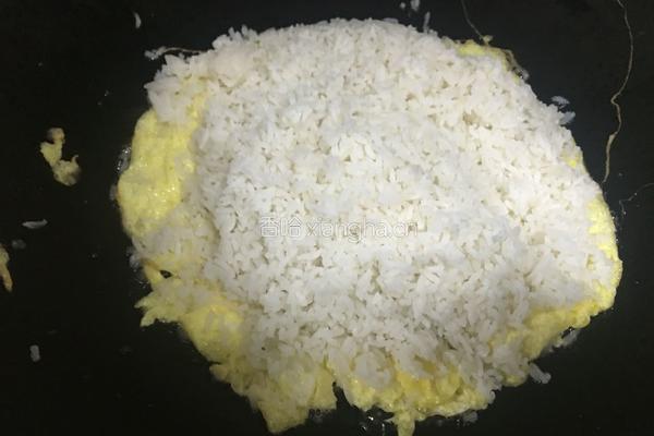 胡萝卜玉米虾仁炒饭的做法图解8