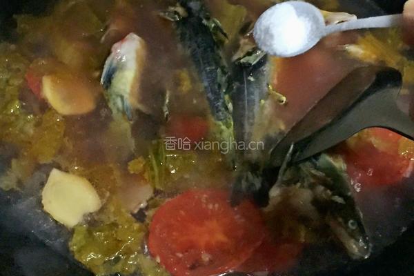酸汤鱼的做法图解7