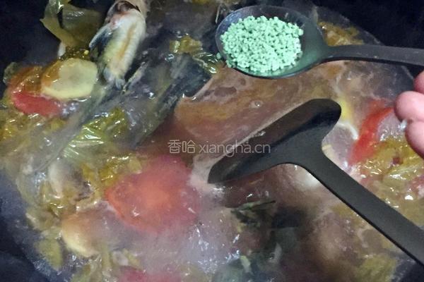 酸汤鱼的做法图解8