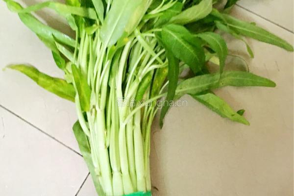 蒜炒空心菜的做法图解1