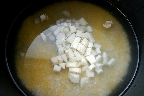 山药枸杞小米粥的做法图解4