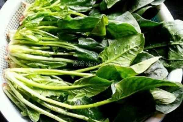 白菜饺子皮的做法图解1