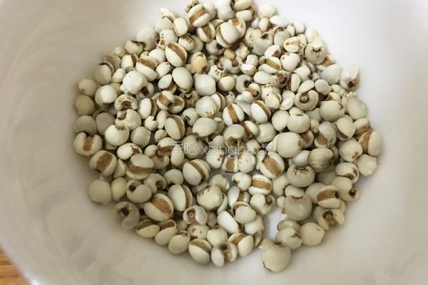 薏米排骨冬瓜汤的做法图解3