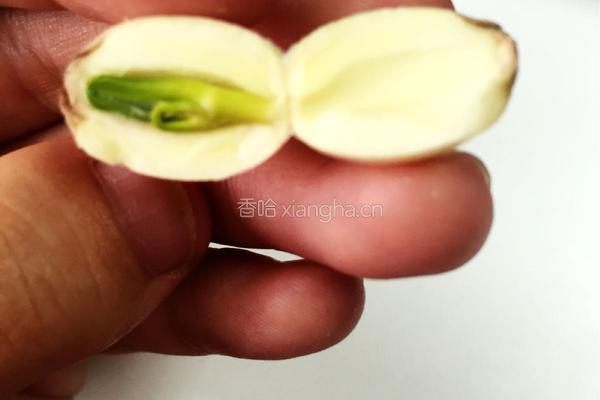 莲心茶的做法图解3