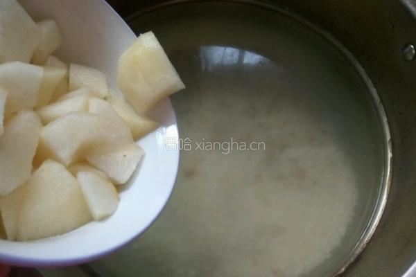 雪梨粥的做法图解5