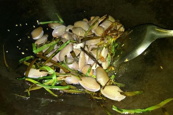 葱油蛤蜊的做法图解6