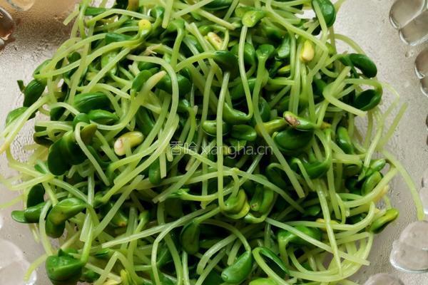 拌黑豆苗的做法图解3