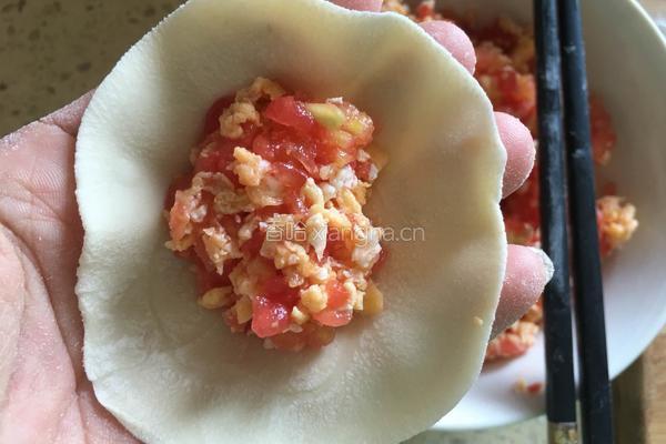 番茄饺子的做法图解10