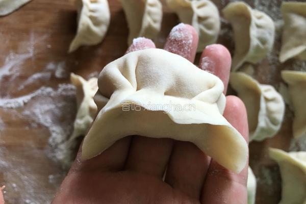 番茄鸡蛋饺子的做法图解15