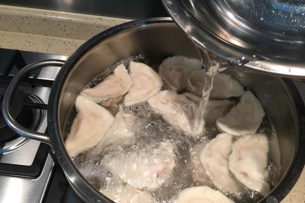 西红柿鸡蛋水饺的做法图解18